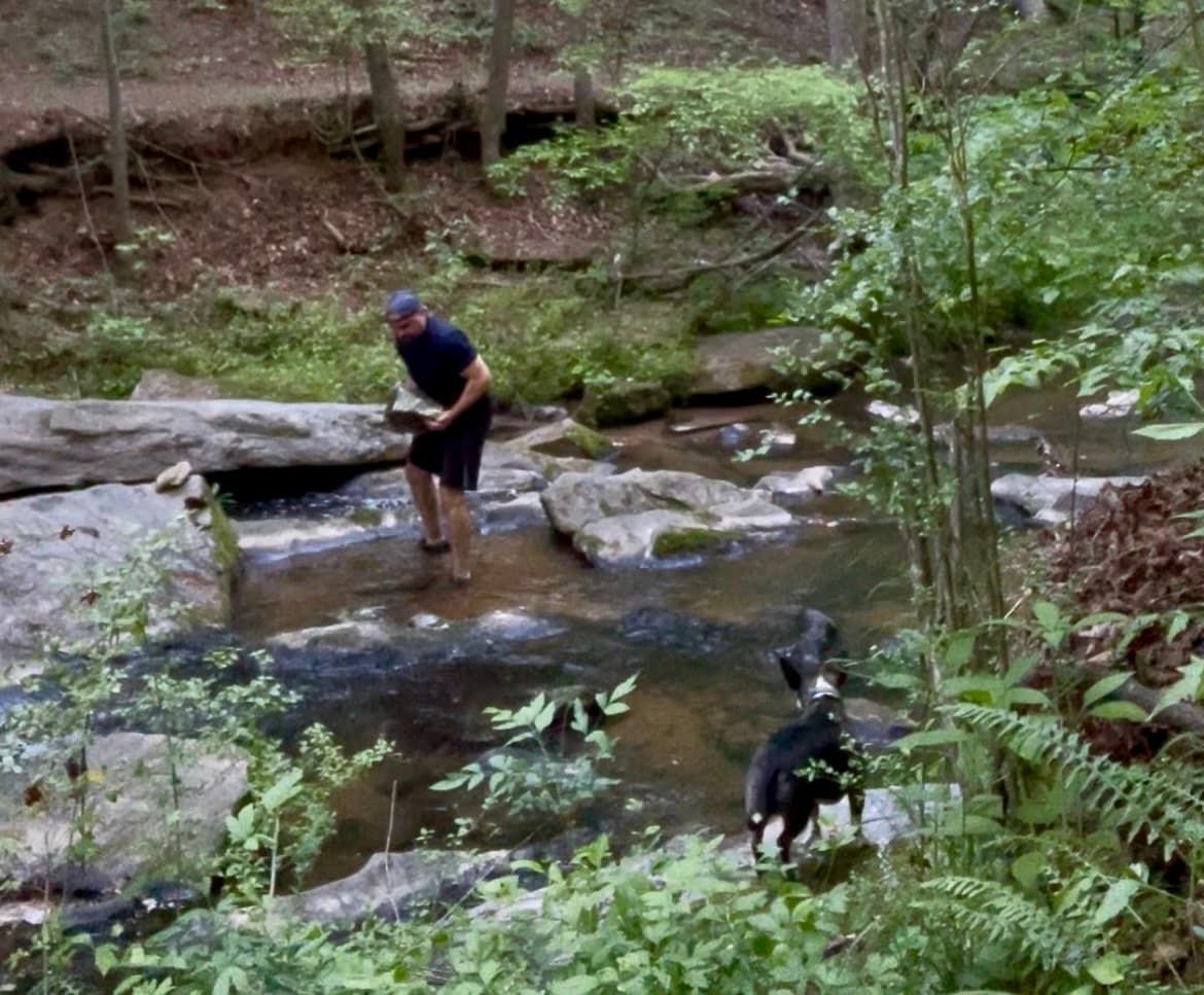 Man holding a large rock in a shallow forest stream with a dog watching nearby.